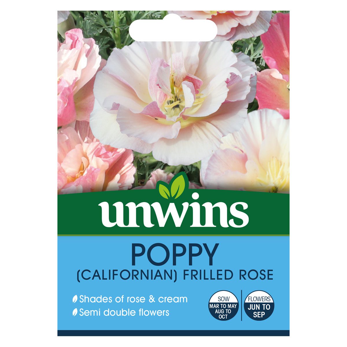 5051618032865 1 Poppy Frilled Rose Seeds.jpg